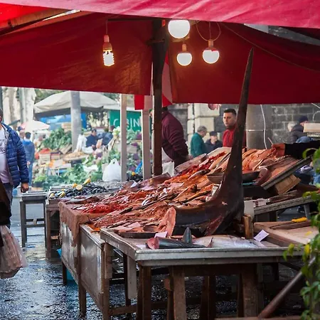 Piscaria Downtown By Sicily In Appartamento *